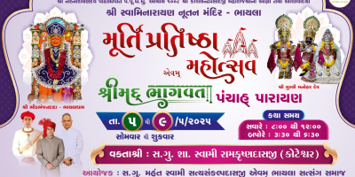 Bhayla Mandir - Murti Prathishta